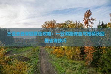 三亚去西安回民街攻略