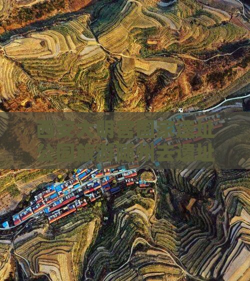 随州去西安大明宫国家遗址公园旅行社