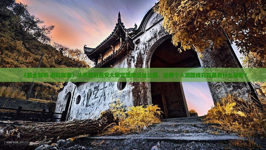 东营到西安大明宫国家遗址公园个人游