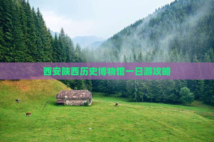 南平到西安陕西历史博物馆一日游