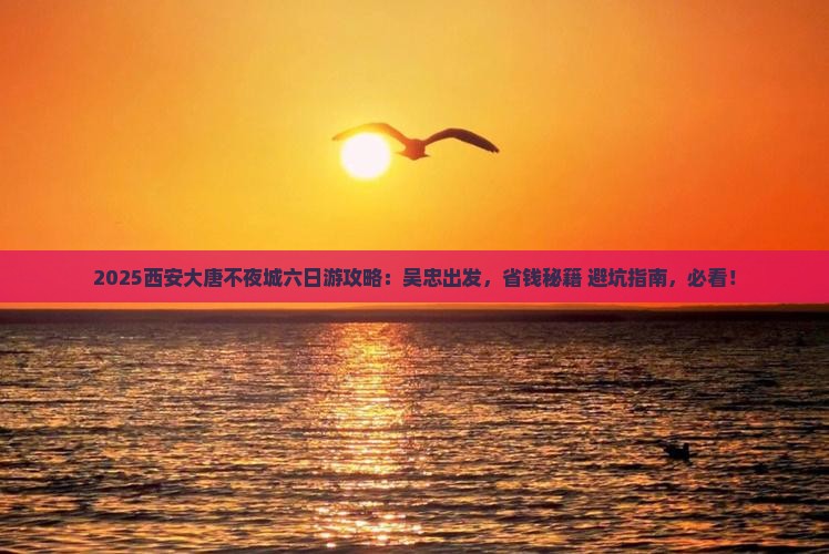 吴忠去西安大唐不夜城六日游
