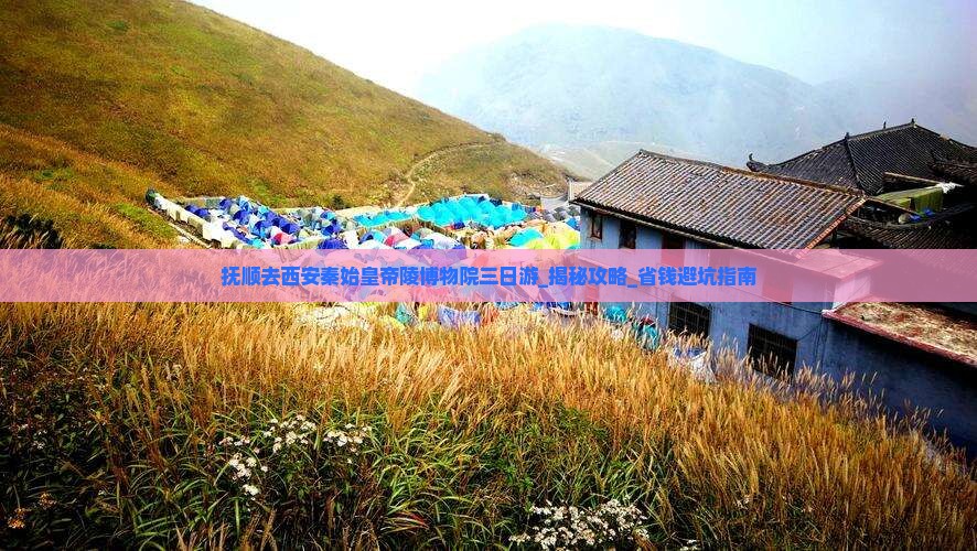 抚顺去西安秦始皇帝陵博物院三日游