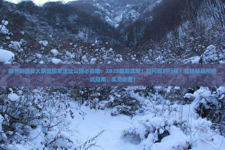 德州到西安大明宫国家遗址公园必去地