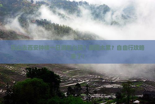 乐山去西安钟楼一日游