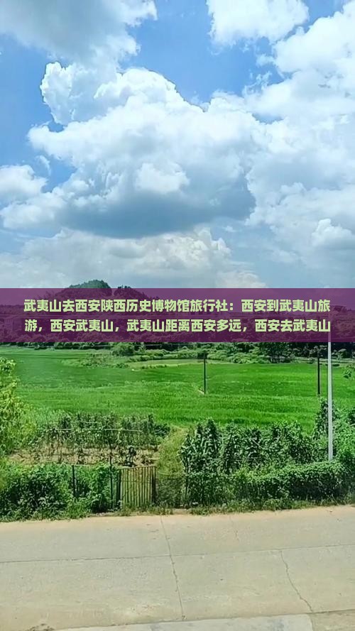武夷山去西安陕西历史博物馆旅行社
