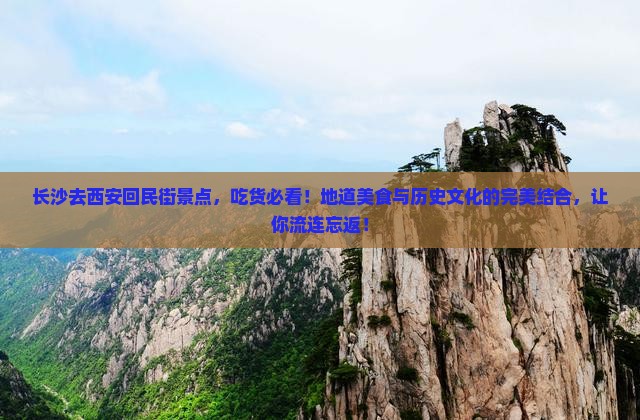 长沙去西安回民街景点