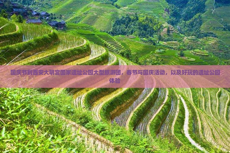 国庆节到西安大明宫国家遗址公园大型旅游团