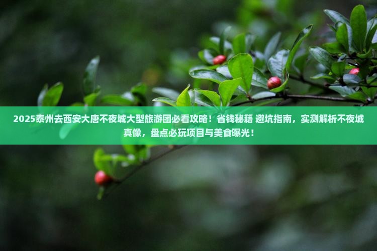 泰州去西安大唐不夜城大型旅游团