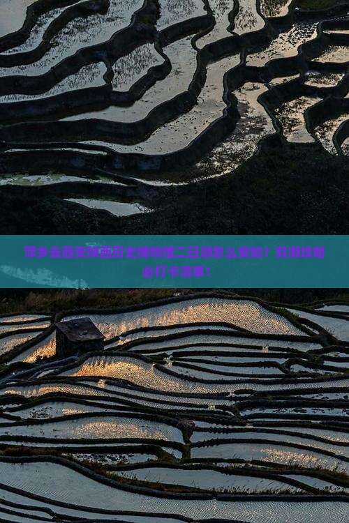 萍乡去西安陕西历史博物馆二日游