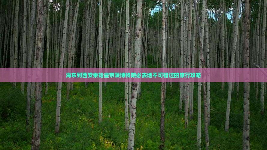 海东到西安秦始皇帝陵博物院必去地