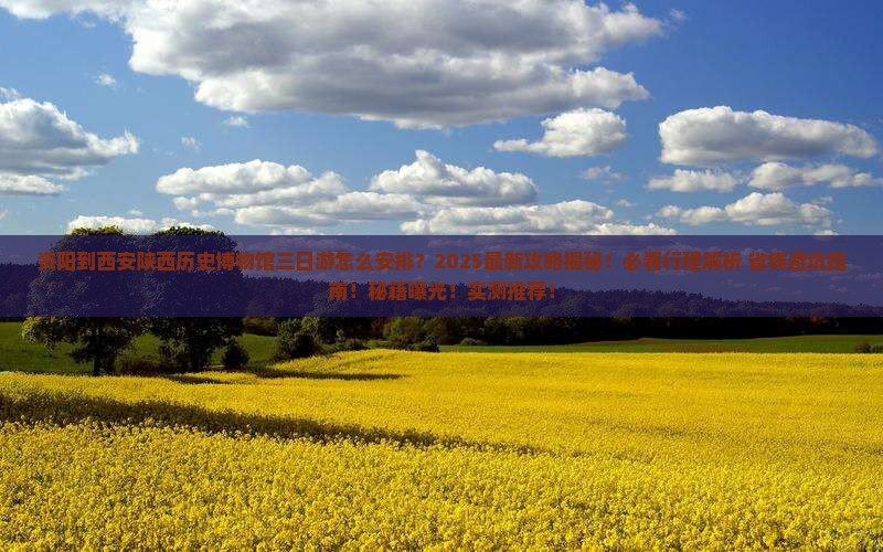 资阳到西安陕西历史博物馆三日游