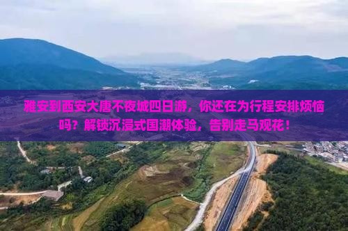 雅安到西安大唐不夜城四日游