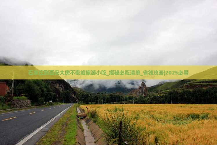 石家庄到西安大唐不夜城旅游小吃