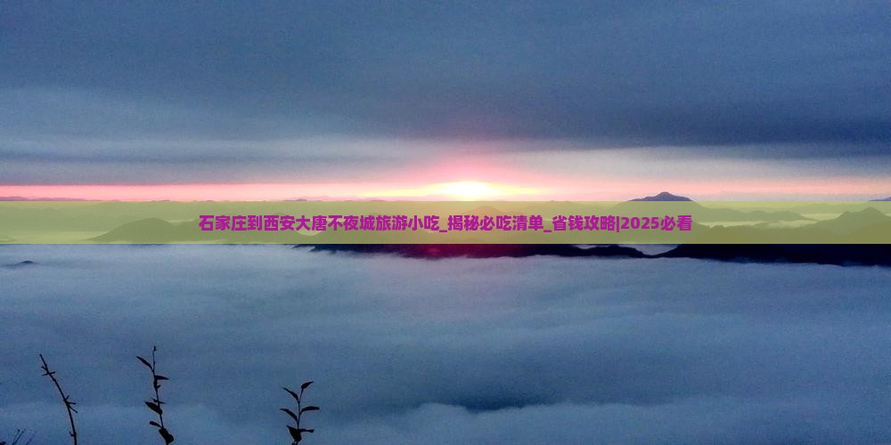 石家庄到西安大唐不夜城旅游小吃