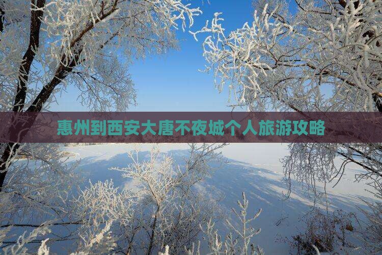惠州到西安大唐不夜城个人游