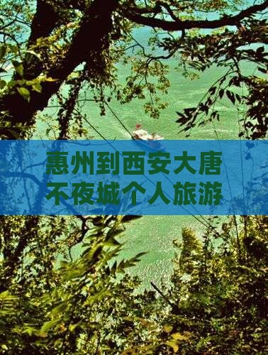 惠州到西安大唐不夜城个人游