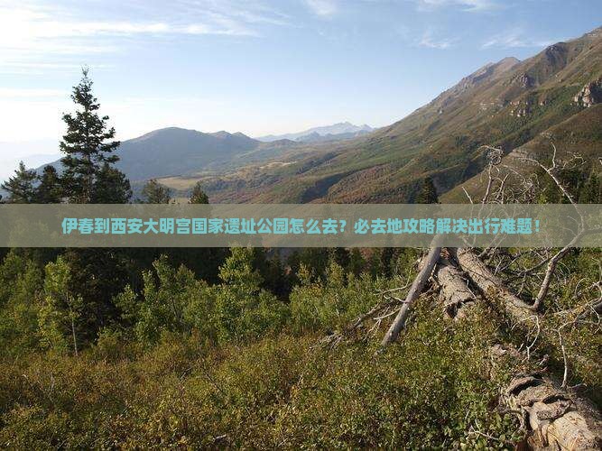 伊春到西安大明宫国家遗址公园必去地