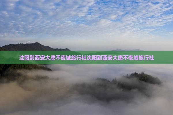 沈阳到西安大唐不夜城旅行社