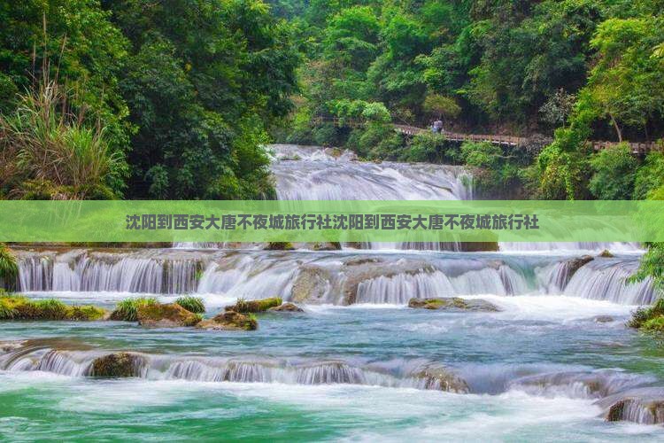 沈阳到西安大唐不夜城旅行社
