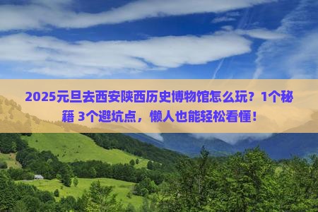 元旦去西安陕西历史博物馆旅游