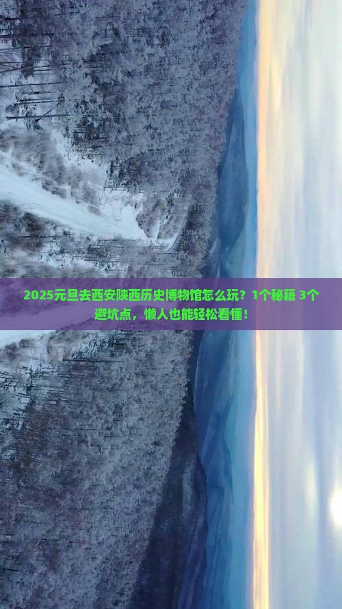 元旦去西安陕西历史博物馆旅游