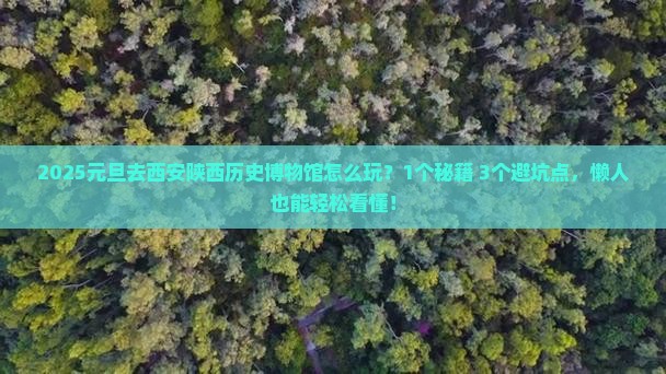 元旦去西安陕西历史博物馆旅游