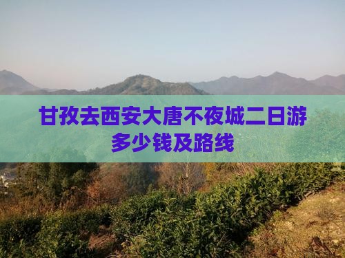 甘孜去西安大唐不夜城二日游