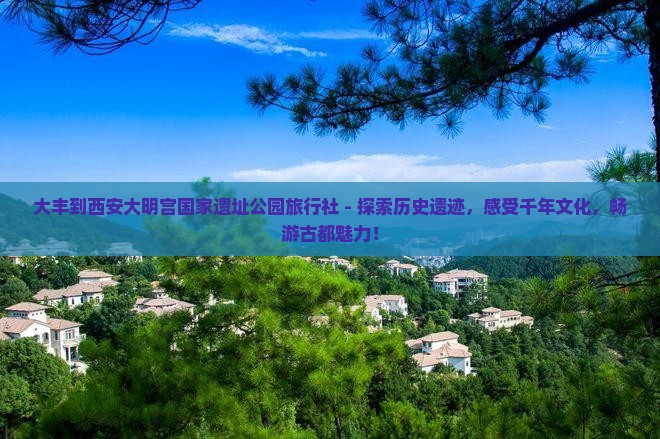 大丰到西安大明宫国家遗址公园旅行社
