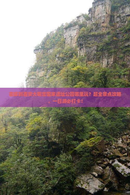霍邱到西安大明宫国家遗址公园哪里玩