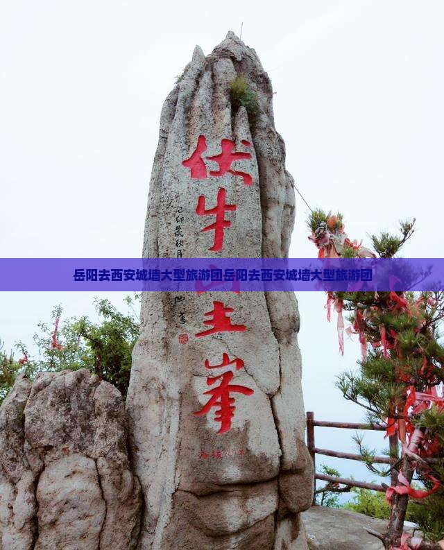 岳阳去西安城墙大型旅游团
