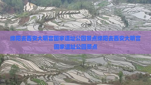 绵阳去西安大明宫国家遗址公园景点