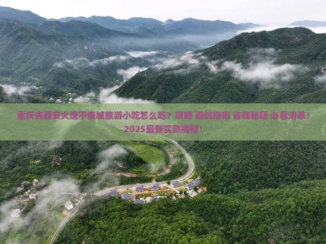 重庆去西安大唐不夜城旅游小吃