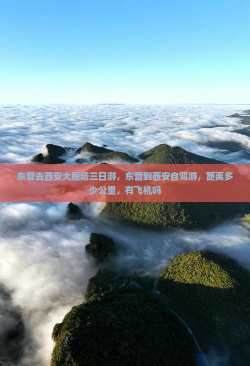 东营去西安大雁塔三日游
