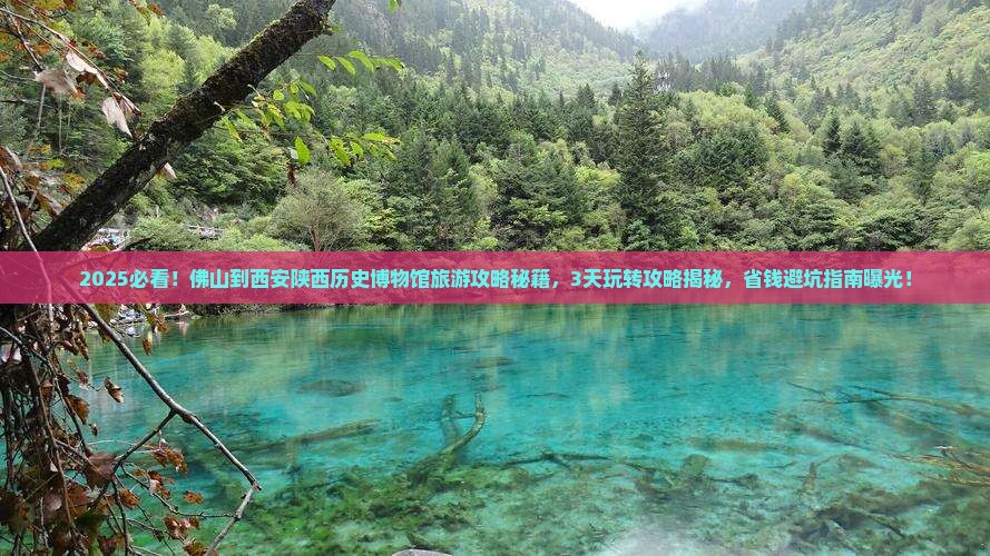 佛山到西安陕西历史博物馆旅游