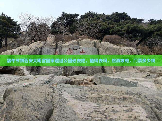 端午节到西安大明宫国家遗址公园必去地