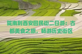 陇南到西安回民街二日游