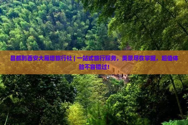 昌都到西安大雁塔旅行社