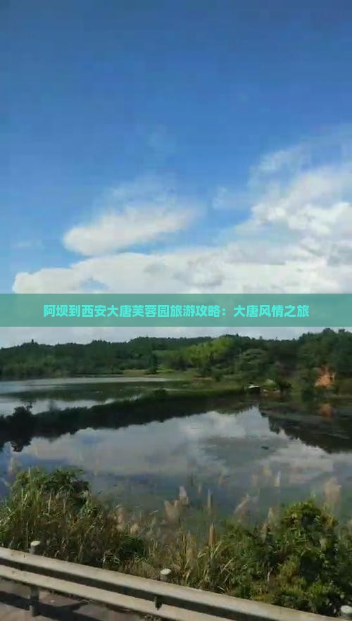 阿坝到西安大唐芙蓉园旅游