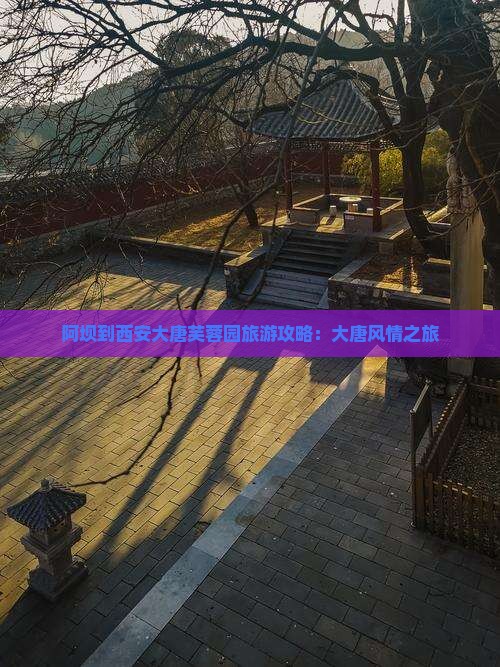 阿坝到西安大唐芙蓉园旅游