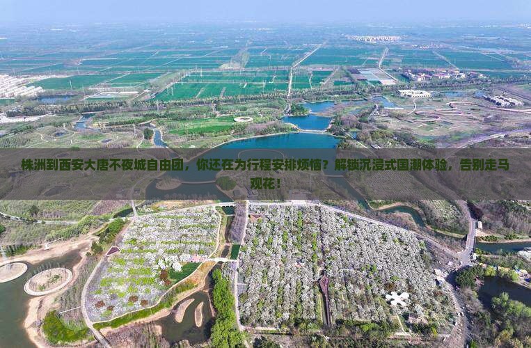 株洲到西安大唐不夜城自由团