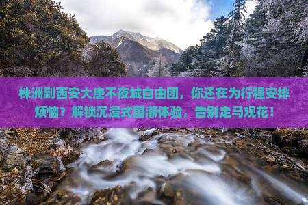 株洲到西安大唐不夜城自由团
