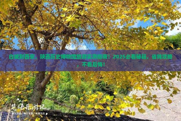 白城到西安陕西历史博物馆旅游