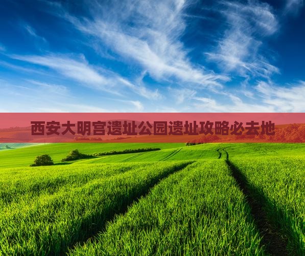 潍坊去西安大明宫国家遗址公园必去地