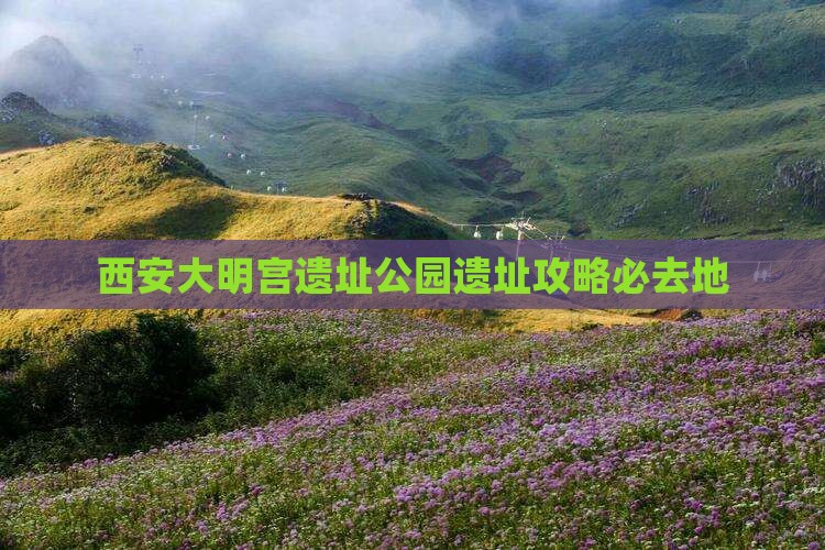 潍坊去西安大明宫国家遗址公园必去地