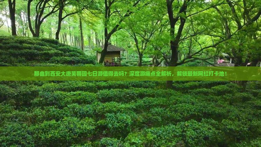 那曲到西安大唐芙蓉园七日游