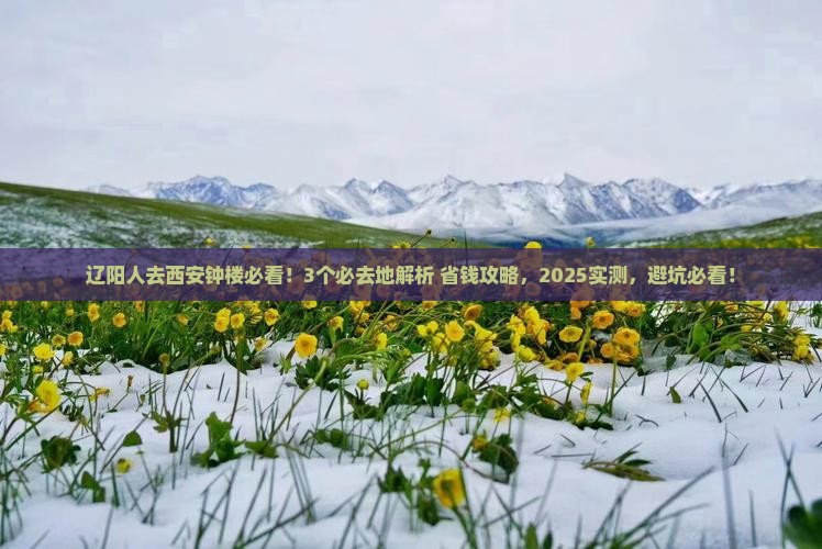 辽阳去西安钟楼必去地