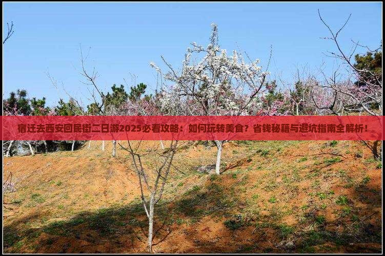 宿迁去西安回民街二日游