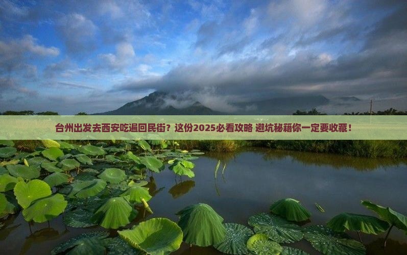 台州到西安回民街旅游