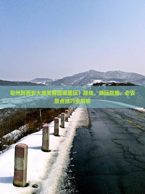 亳州到西安大唐芙蓉园哪里玩