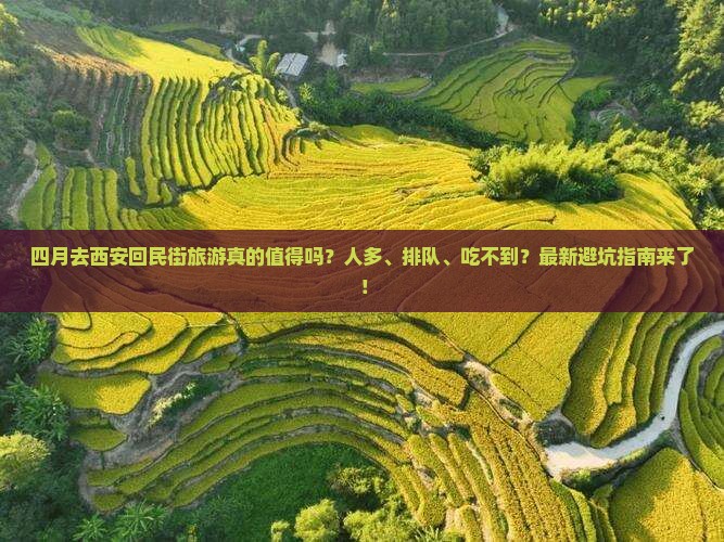 四月到西安回民街团体旅游